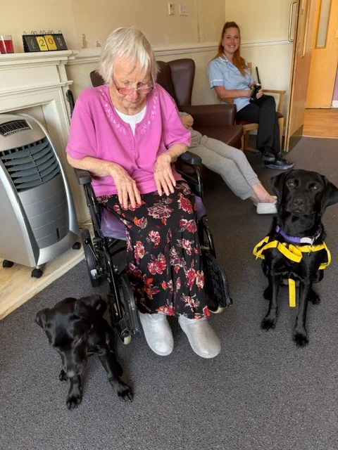 Shadow and Akira together during an animal-assisted session in a care setting.