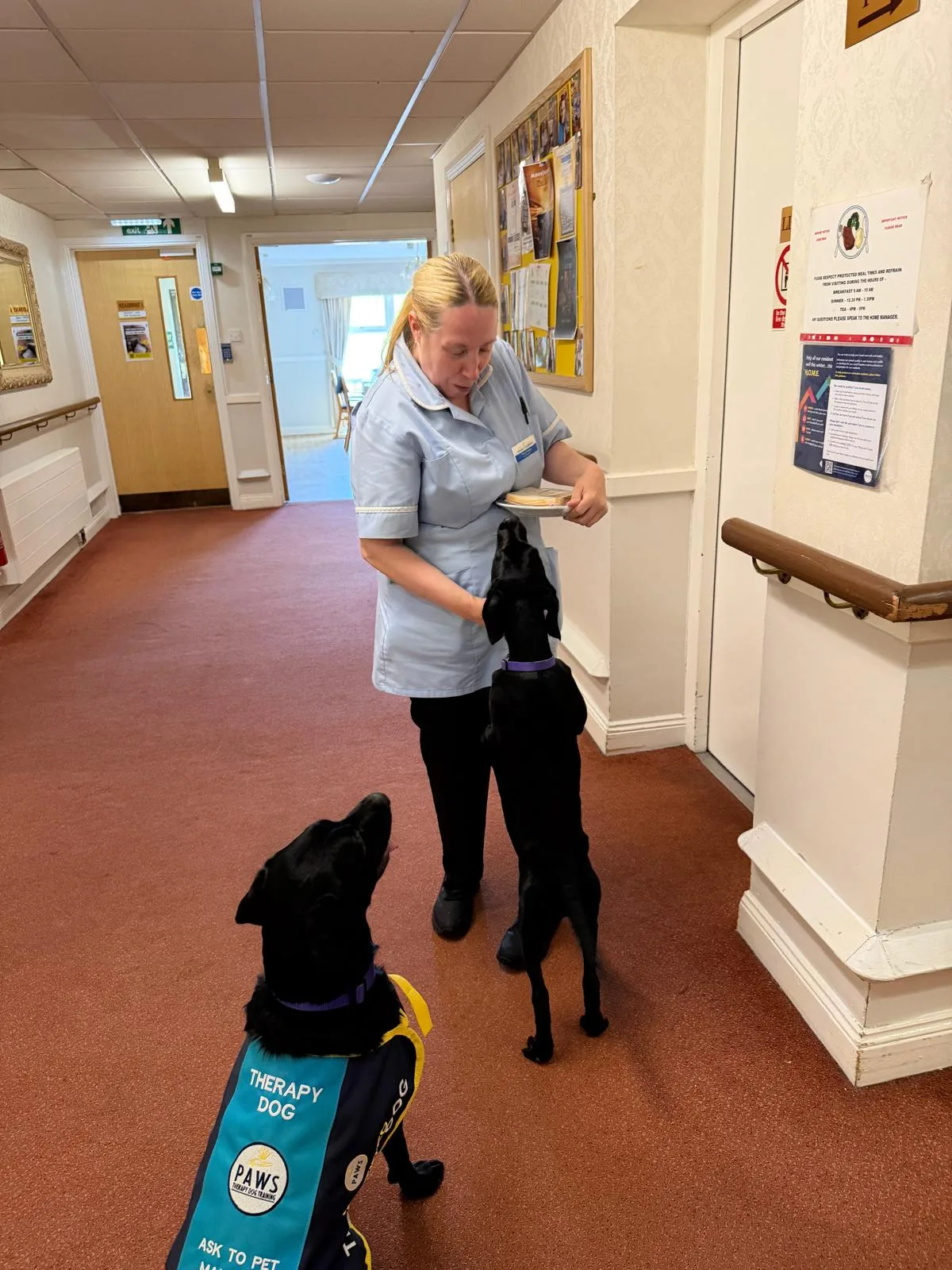 Shadow and Akira, along with a member of care-setting staff, during a visit.